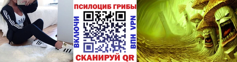 Псилоцибиновые грибы GOLDEN TEACHER  ОМГ ОМГ зеркало  Кингисепп 