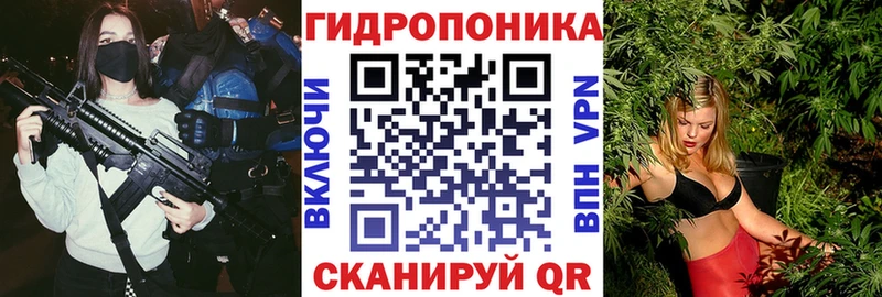 Шишки марихуана MAZAR  цены   Кингисепп 
